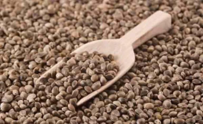 Semintele de canepa: 10 beneficii pentru care trebuie sa le incluzi in alimentatia ta - creambakery.es